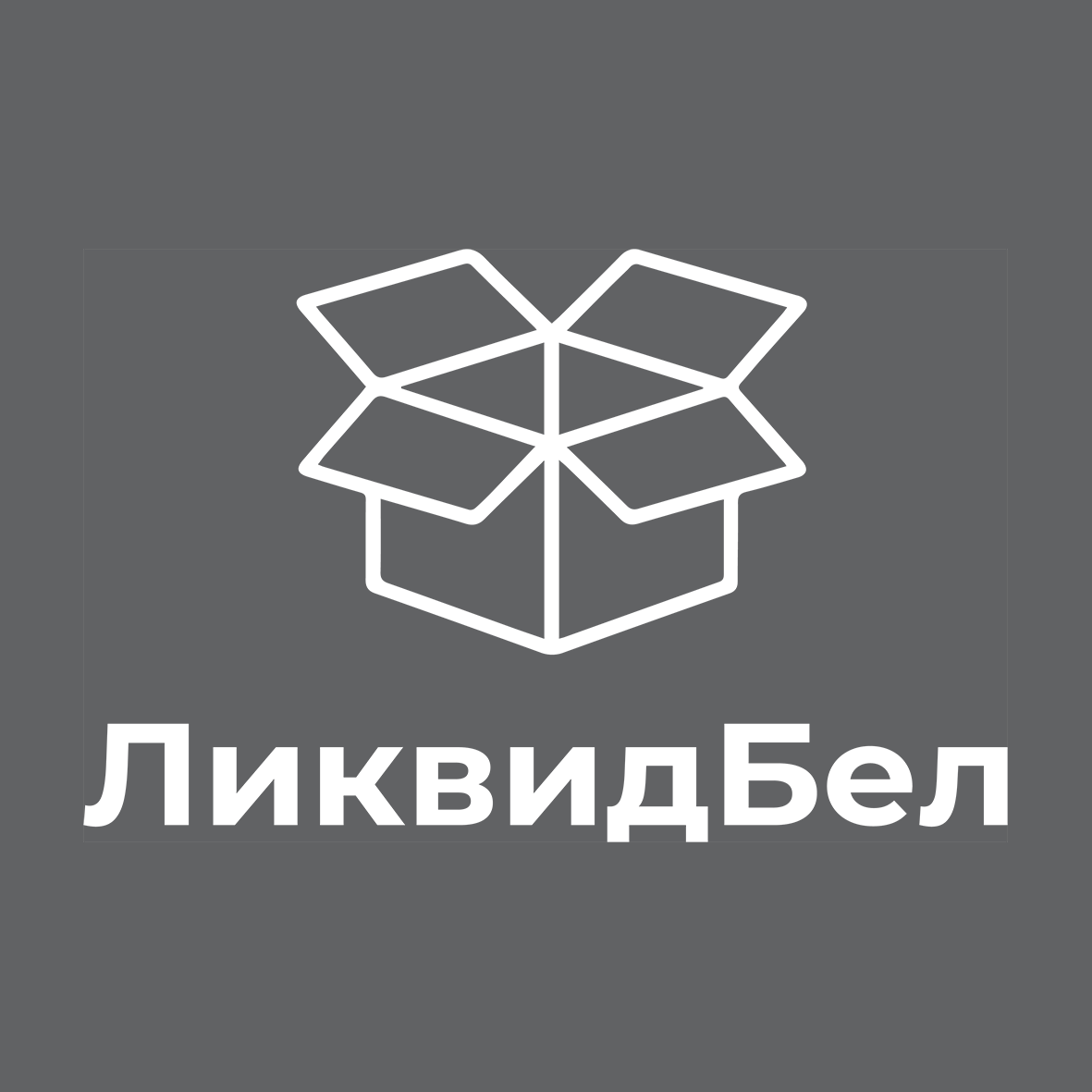 ЛиквидБел - разработка пакета франшизы